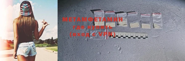 сатива Беломорск