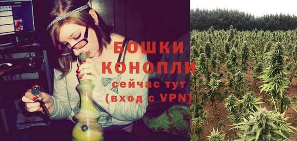 сатива Беломорск