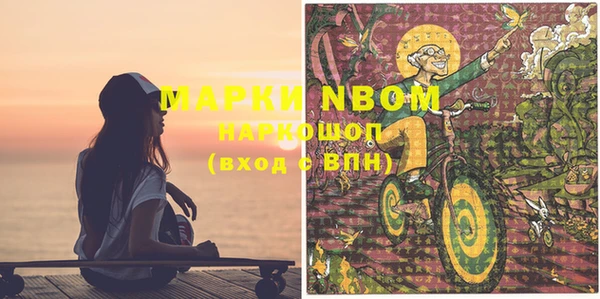 сатива Беломорск