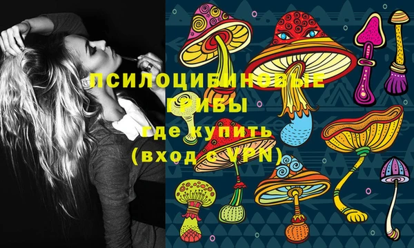 метамфетамин Белокуриха