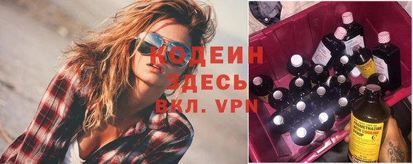 сатива Беломорск