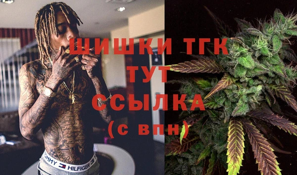 сатива Беломорск